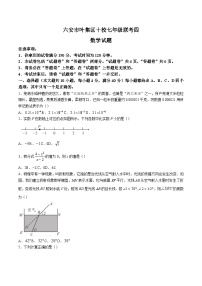 安徽省六安市叶集区十校联考2023-2024学年七年级下学期期末考试数学试卷(含答案)