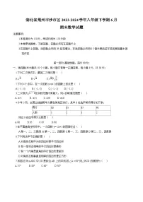 湖北省荆州市沙市区2023-2024学年八年级下学期6月期末考试数学试卷(含答案)