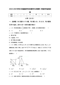 2024-2025学年江苏省南京市名校数学九年级第一学期开学监测试题【含答案】