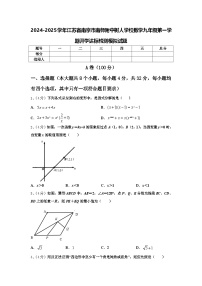 2024-2025学年江苏省南京市南师附中树人学校数学九年级第一学期开学达标检测模拟试题【含答案】