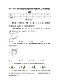 2024-2025学年江苏省兴化市乐吾实验学校数学九上开学统考模拟试题【含答案】