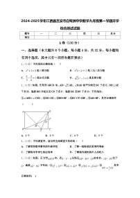 2024-2025学年江西省吉安市白鹭洲中学数学九年级第一学期开学综合测试试题【含答案】