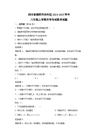 [数学]四川省绵阳市安州区2024-2025学年八年级上学期开学考试试题(解析版)