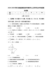 2024-2025学年江西省宜春实验中学数学九上开学学业水平测试模拟试题【含答案】