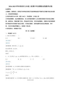 广东深圳2024-2025学年九年级上学期期中数学模拟试题（解析版）