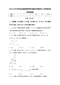 2024-2025学年山东省滨州市邹平市部分学校数学九上开学教学质量检测试题【含答案】