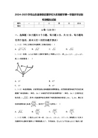 2024-2025学年山东省单县启智学校九年级数学第一学期开学达标检测模拟试题【含答案】