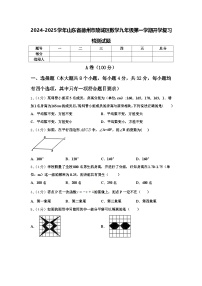 2024-2025学年山东省德州市陵城区数学九年级第一学期开学复习检测试题【含答案】