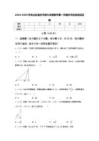 2024-2025学年山东省东平县九年级数学第一学期开学达标测试试题【含答案】