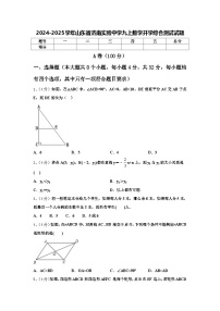 2024-2025学年山东省济南实验中学九上数学开学综合测试试题【含答案】