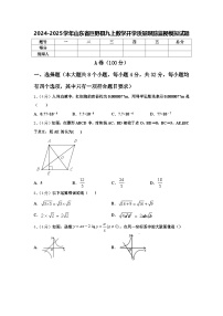 2024-2025学年山东省巨野县九上数学开学质量跟踪监视模拟试题【含答案】