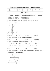 2024-2025学年山东省聊城市冠县九上数学开学预测试题【含答案】