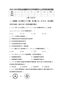 2024-2025学年山东省临沂市太平中学数学九上开学综合测试试题【含答案】