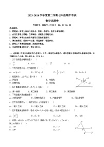 【精品同步练习】全套专题数学2023-2024一中系七下期中数学试卷（知识梳理+含答案）