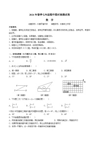 【精品同步练习】全套专题数学2023-2024长郡七下期中数学试卷（知识梳理+含答案）