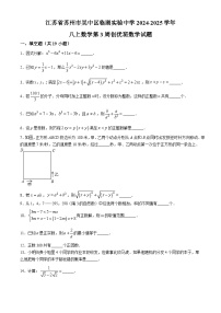 江苏省苏州市吴中区临湖实验中学2024-2025学年 八年级上学期月考数学试题