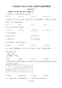 广东省深圳市2023-2024学年八年级上学期期末数学模拟试题（原卷版+解析版）