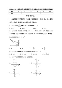 2024-2025学年山东省临沂数学九年级第一学期开学达标检测试题【含答案】