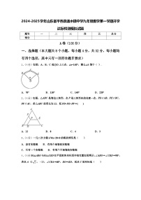 2024-2025学年山东省平邑县温水镇中学九年级数学第一学期开学达标检测模拟试题【含答案】