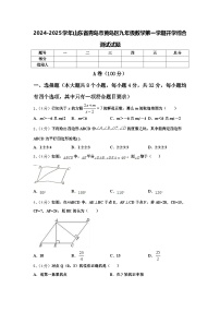 2024-2025学年山东省青岛市黄岛区九年级数学第一学期开学综合测试试题【含答案】