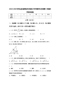 2024-2025学年山东省青岛市开发区八中学数学九年级第一学期开学统考试题【含答案】