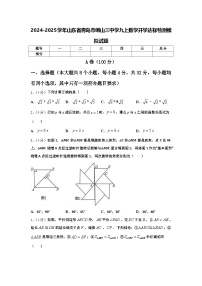 2024-2025学年山东省青岛市崂山三中学九上数学开学达标检测模拟试题【含答案】