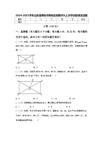 2024-2025学年山东省青岛市青岛实验数学九上开学达标测试试题【含答案】