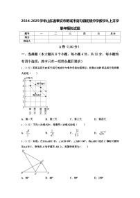 2024-2025学年山东省泰安市肥城市湖屯镇初级中学数学九上开学联考模拟试题【含答案】