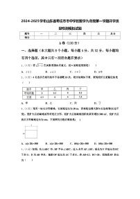 2024-2025学年山东省枣庄市市中学区数学九年级第一学期开学质量检测模拟试题【含答案】