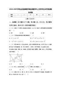 2024-2025学年山东省淄博市桓台县数学九上开学学业水平测试模拟试题【含答案】