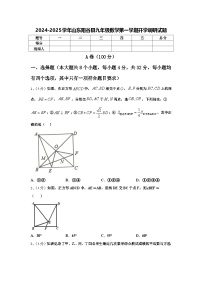 2024-2025学年山东阳谷县九年级数学第一学期开学调研试题【含答案】