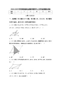 2024-2025学年陕西省岐山县联考数学九上开学监测模拟试题【含答案】