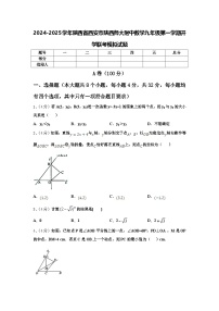 2024-2025学年陕西省西安市陕西师大附中数学九年级第一学期开学联考模拟试题【含答案】