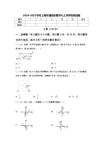 2024-2025学年上海市浦东区数学九上开学检测试题【含答案】