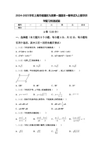 2024-2025学年上海市杨浦区九级第一期期末一模考试九上数学开学复习检测试题【含答案】