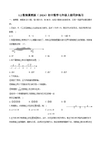 数学七年级上册（2024）第一章 有理数1.2 数轴优秀一课一练