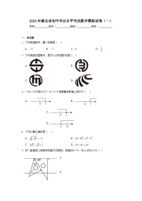 2024年湖北省初中学业水平考试数学模拟试卷（一）