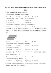 2023-2024学年河南省郑州实验外国语中学八年级（上）月考数学试卷（10月份）