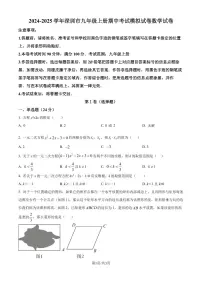 广东深圳2024年九年级上学期期中数学模拟试题+答案