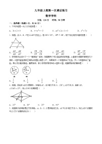 河南省郑州市第四初级中学2024-2025学年九年级上学期第一次月考数学试题(无答案)