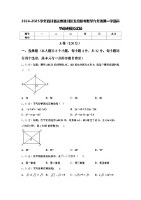 2024-2025学年四川省达州通川区五校联考数学九年级第一学期开学调研模拟试题【含答案】