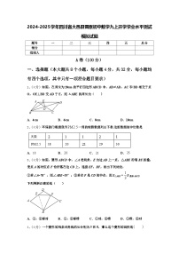 2024-2025学年四川省大邑县晋原初中数学九上开学学业水平测试模拟试题【含答案】