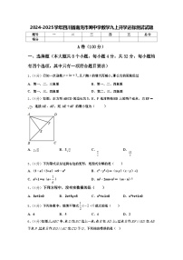 2024-2025学年四川省南充市阆中学数学九上开学达标测试试题【含答案】