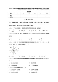 2024-2025学年四川省南充市营山县小桥中学数学九上开学达标检测试题【含答案】