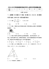 2024-2025学年西双版纳市重点中学九上数学开学检测模拟试题【含答案】