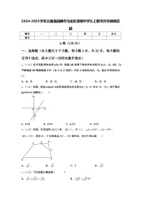 2024-2025学年云南省曲靖市马龙区通泉中学九上数学开学调研试题【含答案】