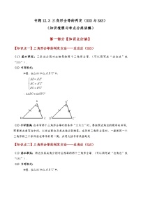 初中数学人教版（2024）八年级上册第十二章 全等三角形12.1 全等三角形精品测试题