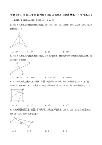 初中数学人教版（2024）八年级上册第十二章 全等三角形12.1 全等三角形精品综合训练题