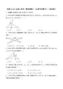 初中数学人教版（2024）八年级上册12.1 全等三角形精品练习