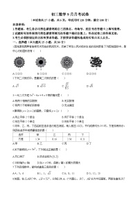 云南省昆明市五华区华山中学2024-2025学年九年级上学期9月月考数学试题(无答案)